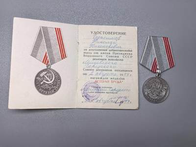 小驴勋章奖章收藏11月15日周六晚五点拍卖（珍爱和平，收藏战争，铭记历史，勿忘国耻，忠党爱国。有偿代拍，送拍规则在简介最后，参拍须阅读规则后再参拍，关系到运费包装发货时效真假辨别等关键信息，拍卖时不再发原图，看大图店主微信码在拍卖店铺介绍里） - 苏联退休劳动者奖章带证书