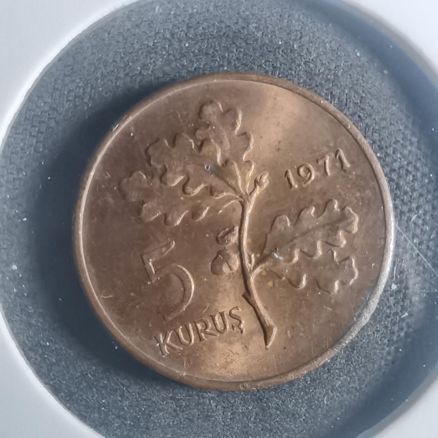 沼泽如烟--第900场