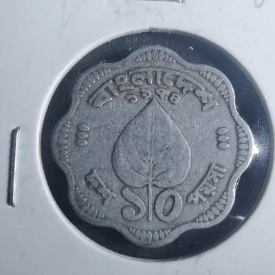 沼泽如烟--第900场 - 孟加拉树叶