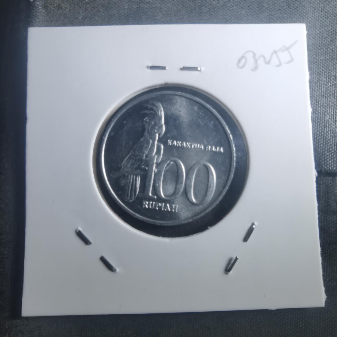 沼泽如烟--第903场