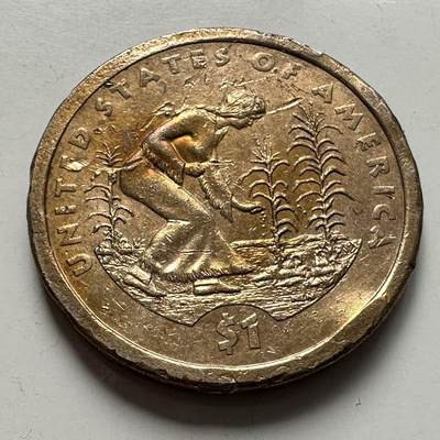 🌹外币初藏🌹🐯2025年第127场  每周二四六晚8️⃣点 接代拍 - 美国2009年1美元 印第安原住民c