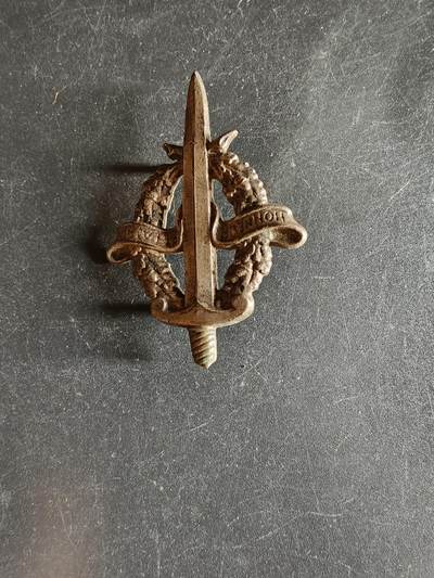 老王徽章第163期 13-15日三场连拍 16日统一发货  13、14日结束后可寄存 - 法国军事技能章 