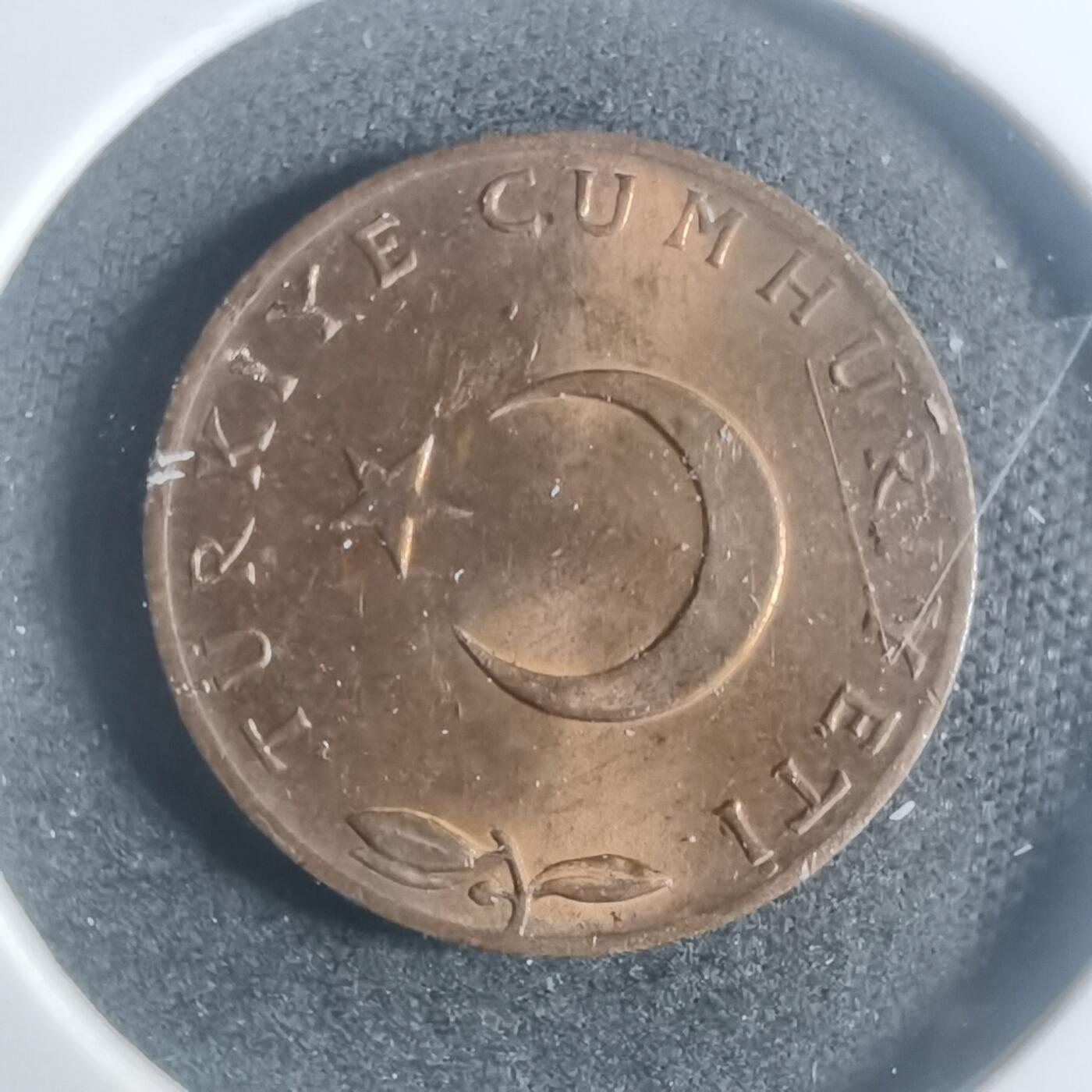 沼泽如烟--第900场