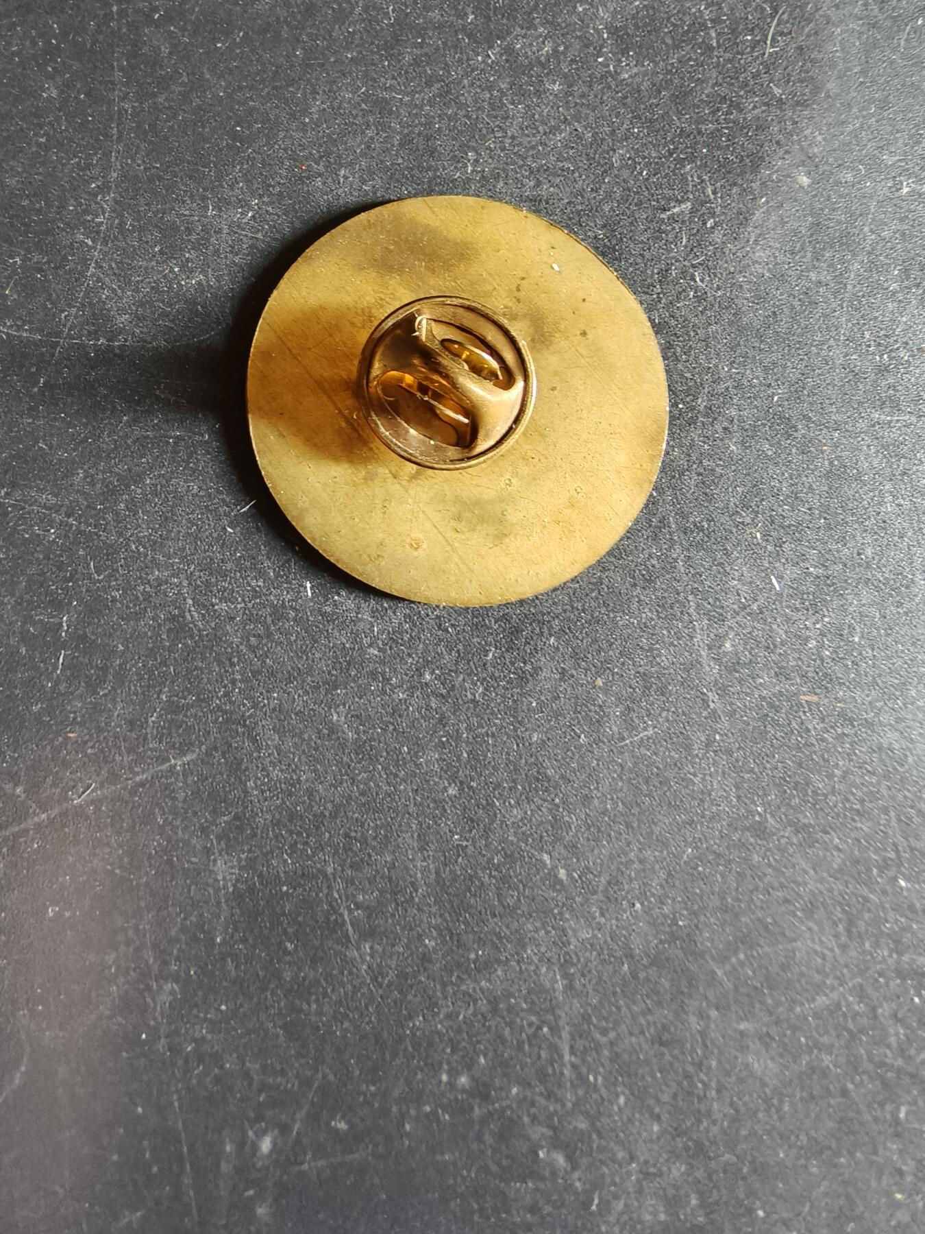 老王徽章第163期 13-15日三场连拍 16日统一发货  13、14日结束后可寄存  波兰科尔布朔瓦旅游协会证章