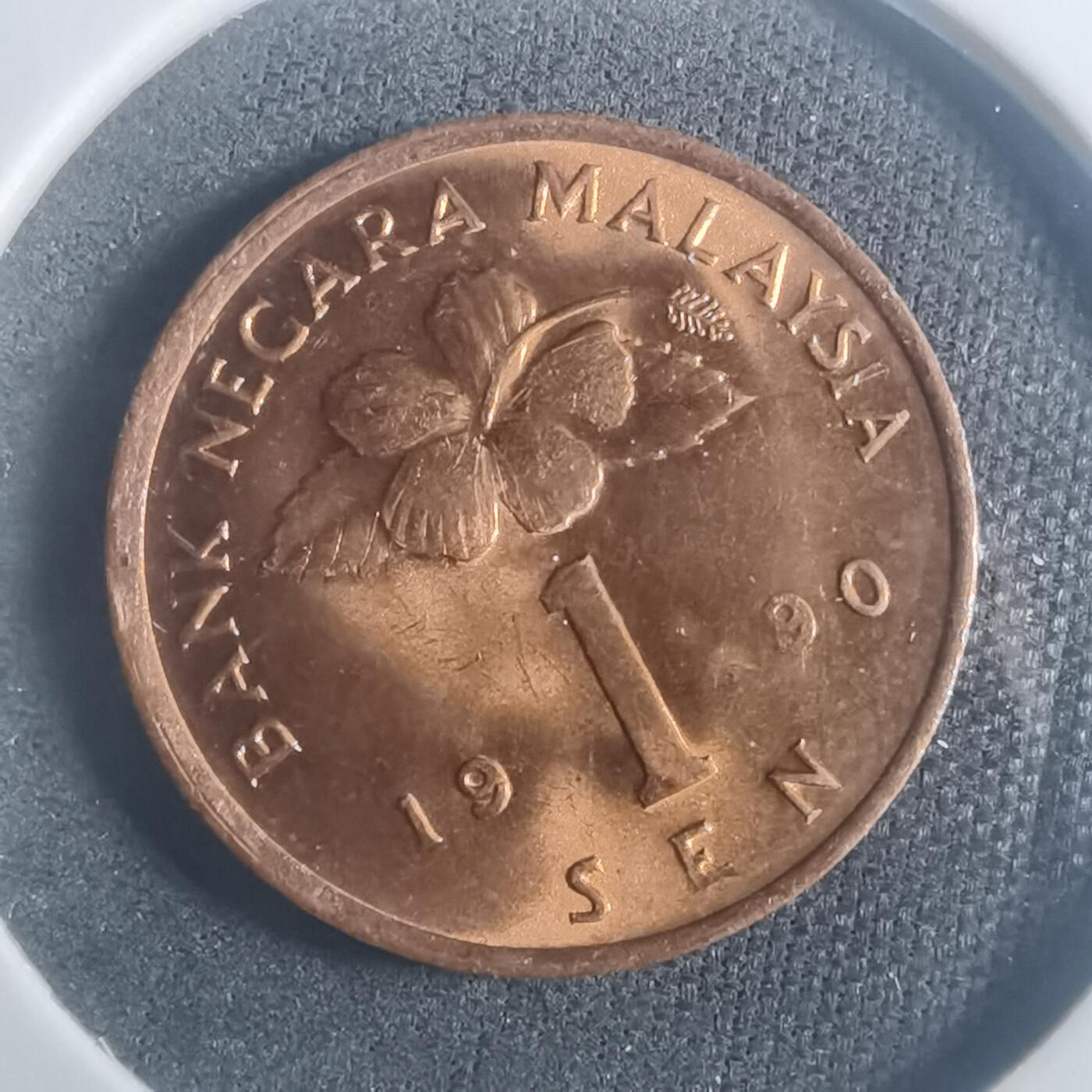 沼泽如烟--第900场