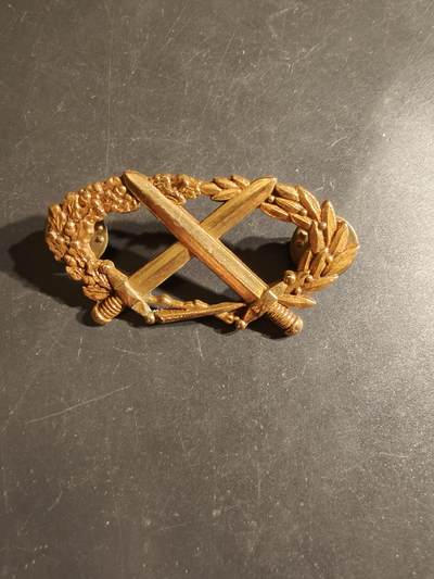 老王徽章第163期 13-15日三场连拍 16日统一发货  13、14日结束后可寄存 -  法国金级军事技能章