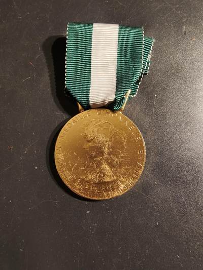 老王徽章第163期 13-15日三场连拍 16日统一发货  13、14日结束后可寄存 - 法国金级地方嘉奖奖章    实发版 