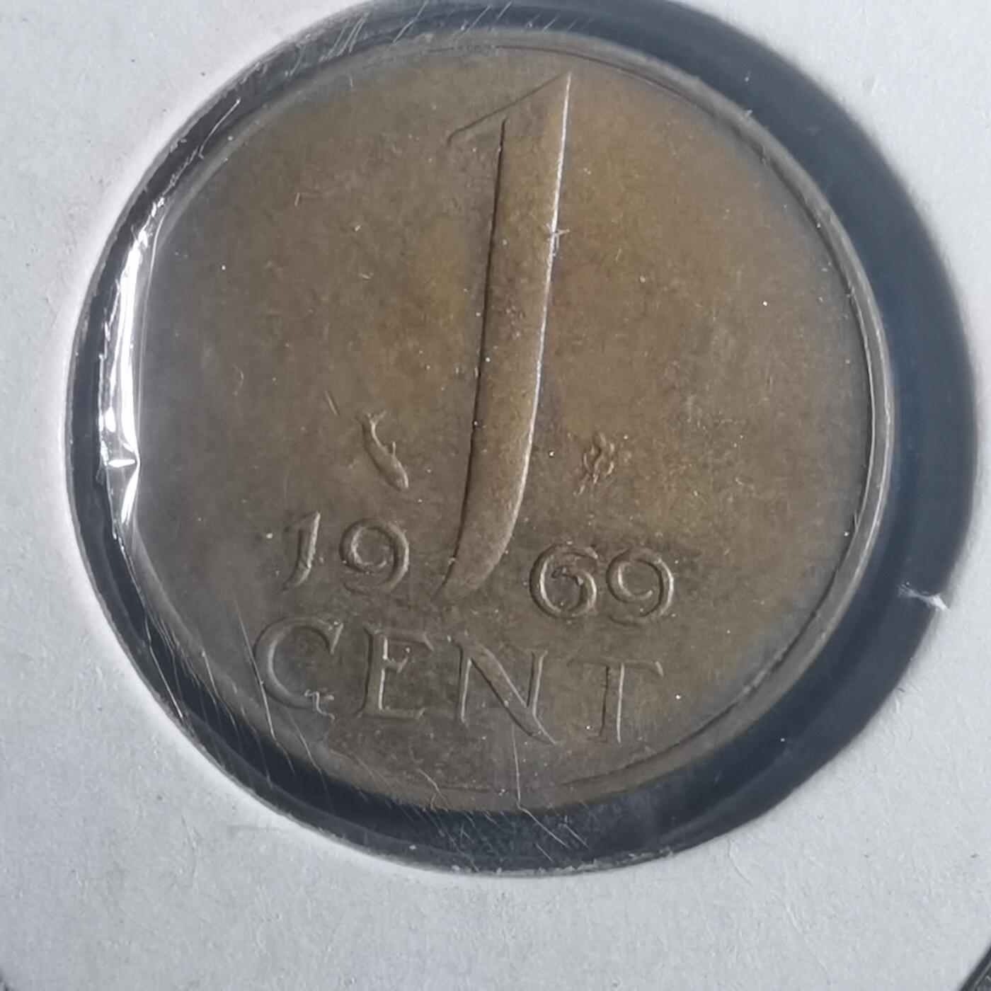 沼泽如烟--第903场