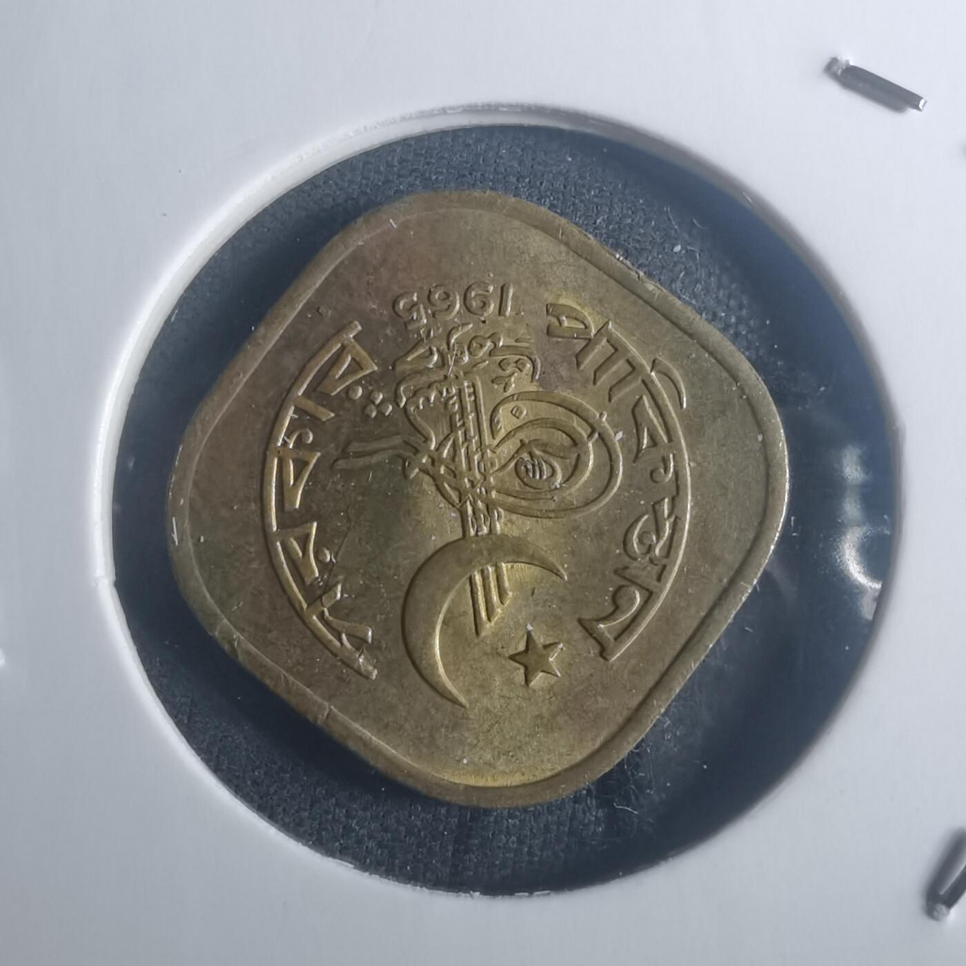 沼泽如烟--第900场