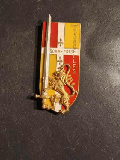 老王徽章第163期 13-15日三场连拍 16日统一发货  13、14日结束后可寄存 - 法国圣西尔军校科塞尔届学员证章 