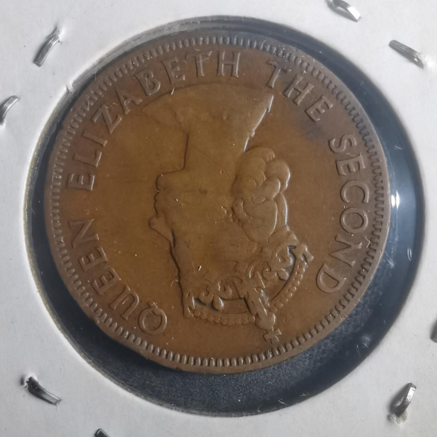 沼泽如烟--第903场