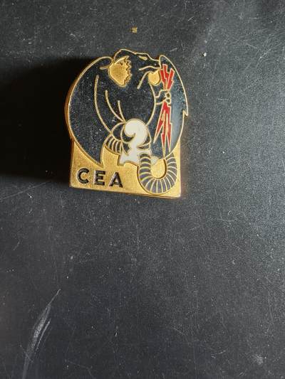 老王徽章第163期 13-15日三场连拍 16日统一发货  13、14日结束后可寄存 - 法国海军突击队训练中心证章 