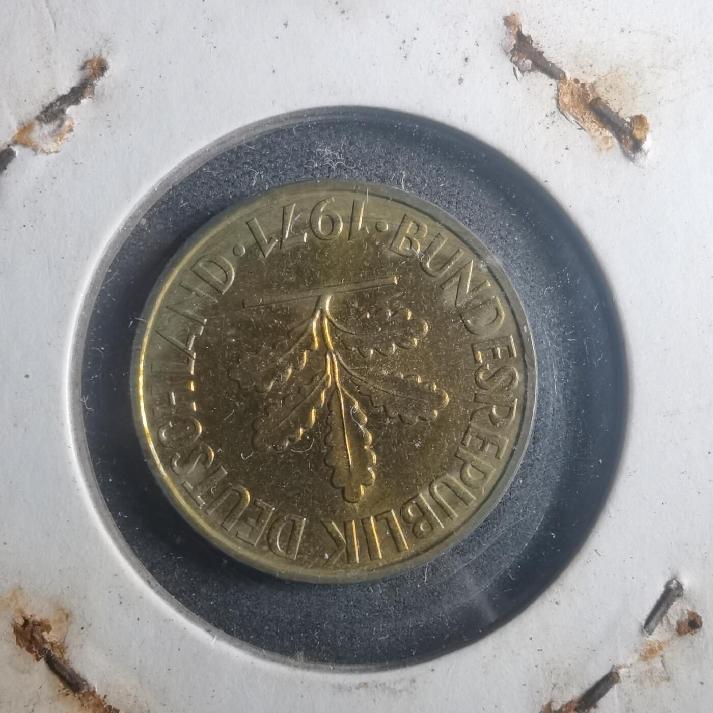 沼泽如烟--第903场