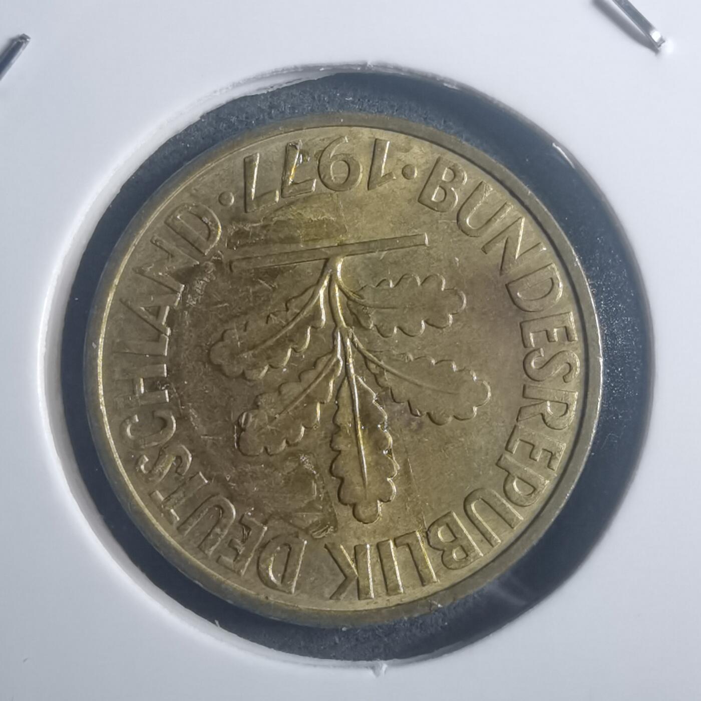 沼泽如烟--第903场