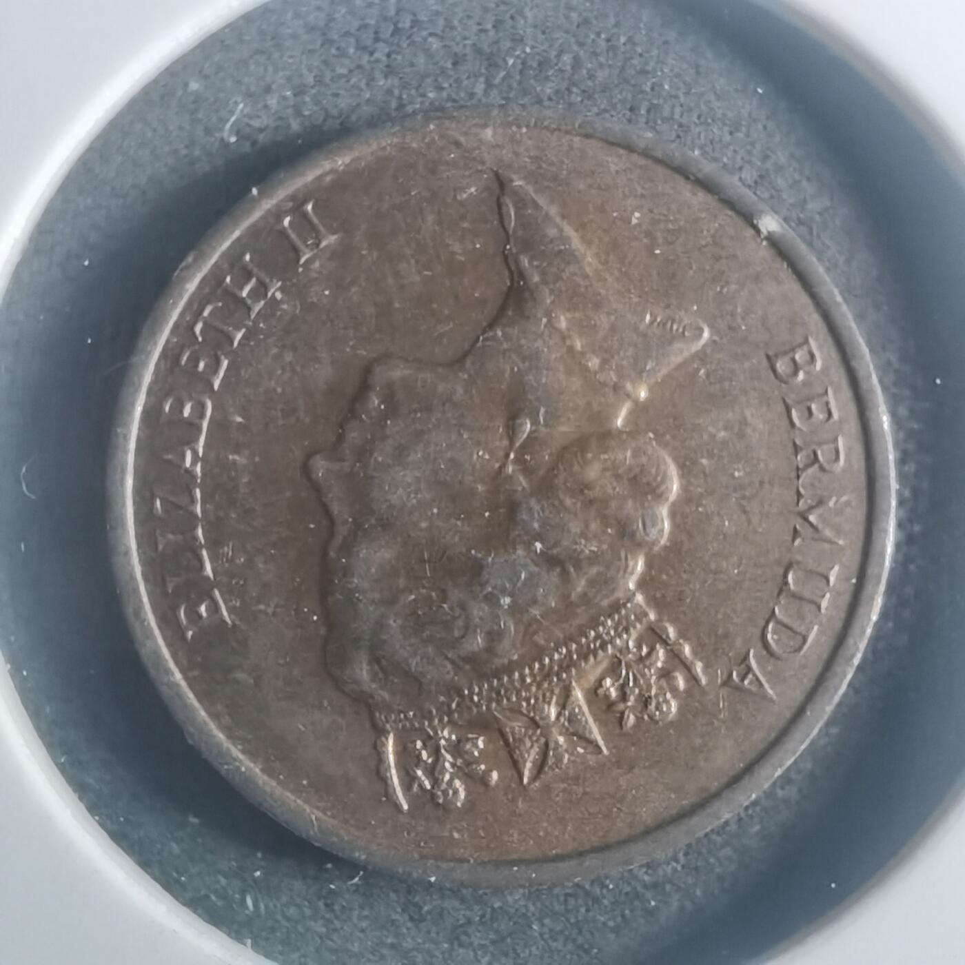 沼泽如烟--第900场