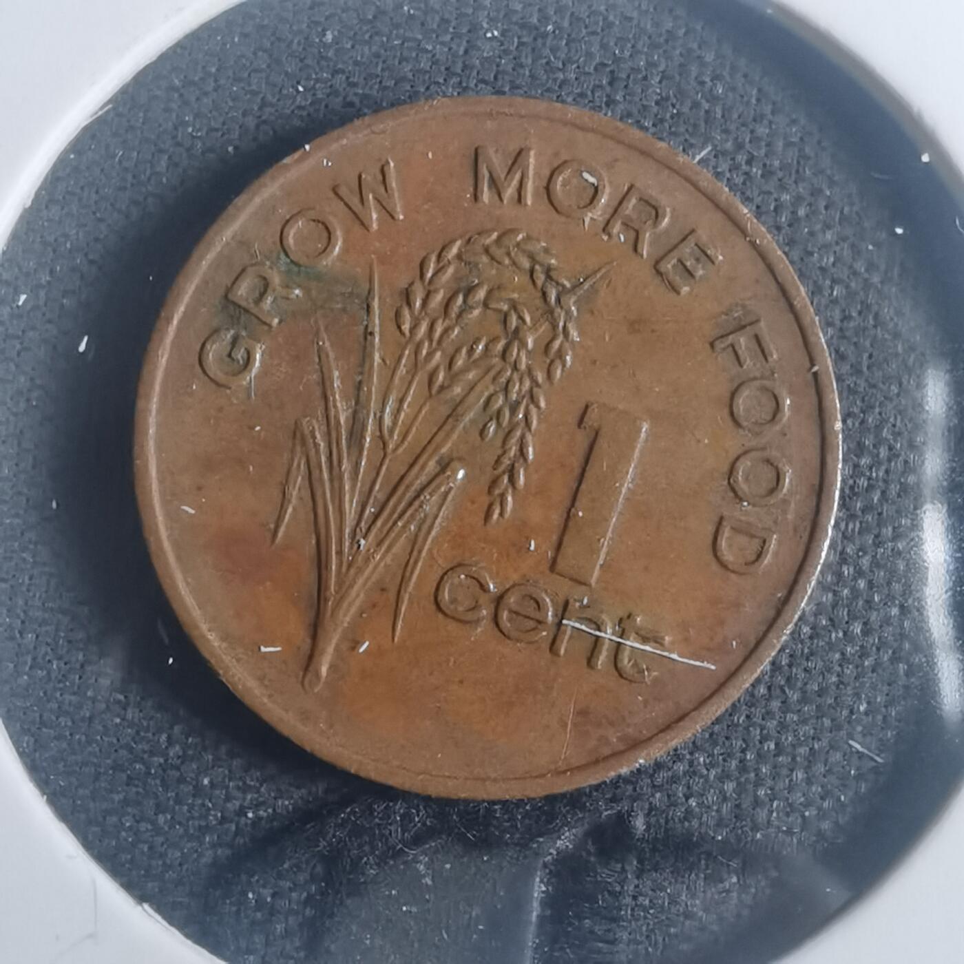 沼泽如烟--第900场