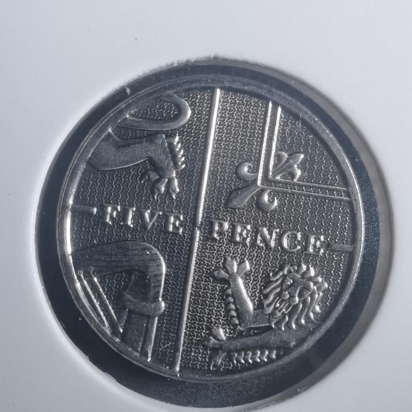 沼泽如烟--第903场