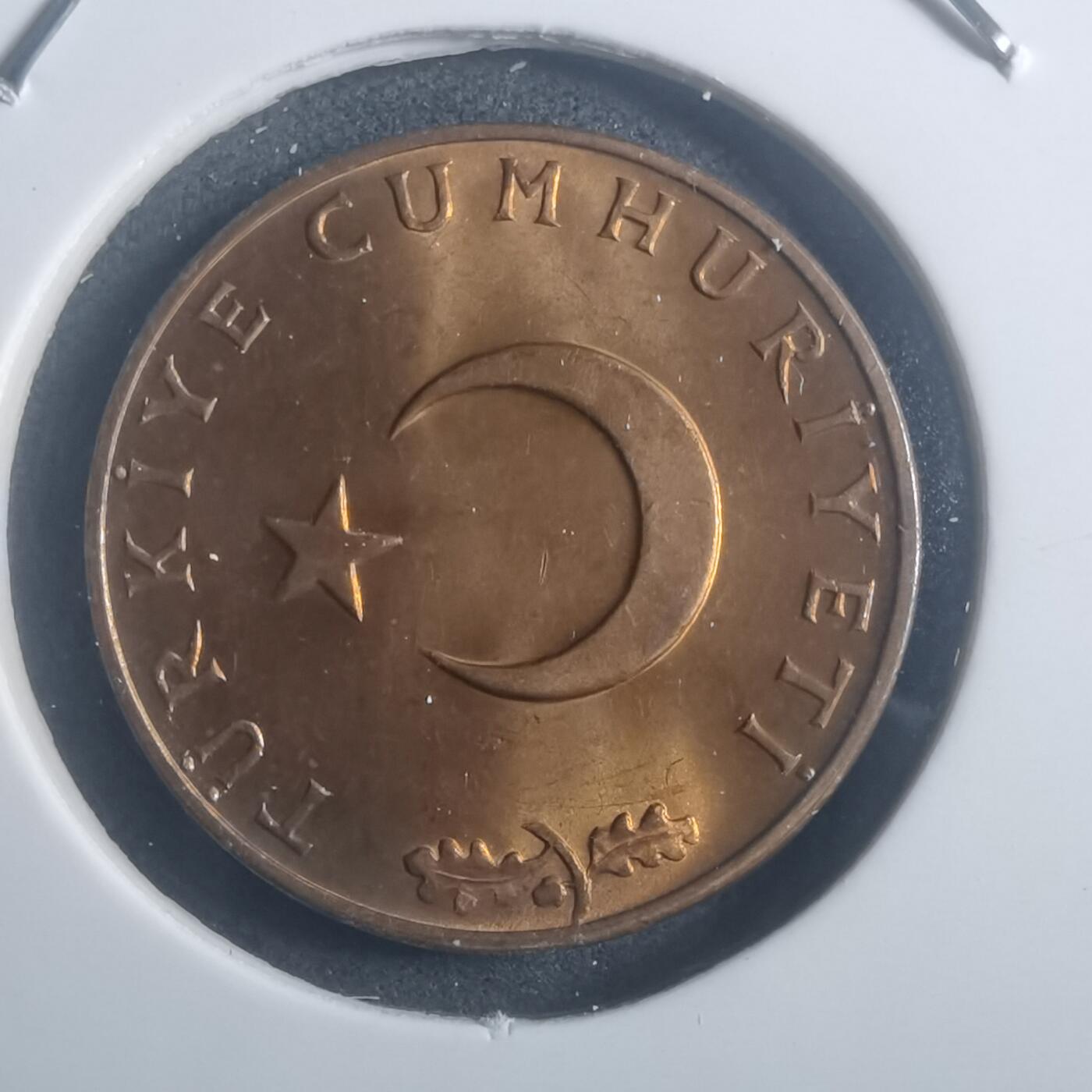 沼泽如烟--第903场