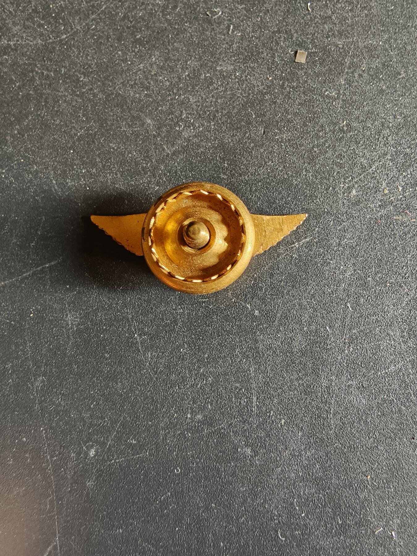 老王徽章第163期 13-15日三场连拍 16日统一发货  13、14日结束后可寄存