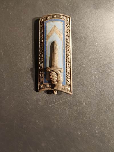 老王徽章第163期 13-15日三场连拍 16日统一发货  13、14日结束后可寄存 - 法国国家现役士官应用学校证章 