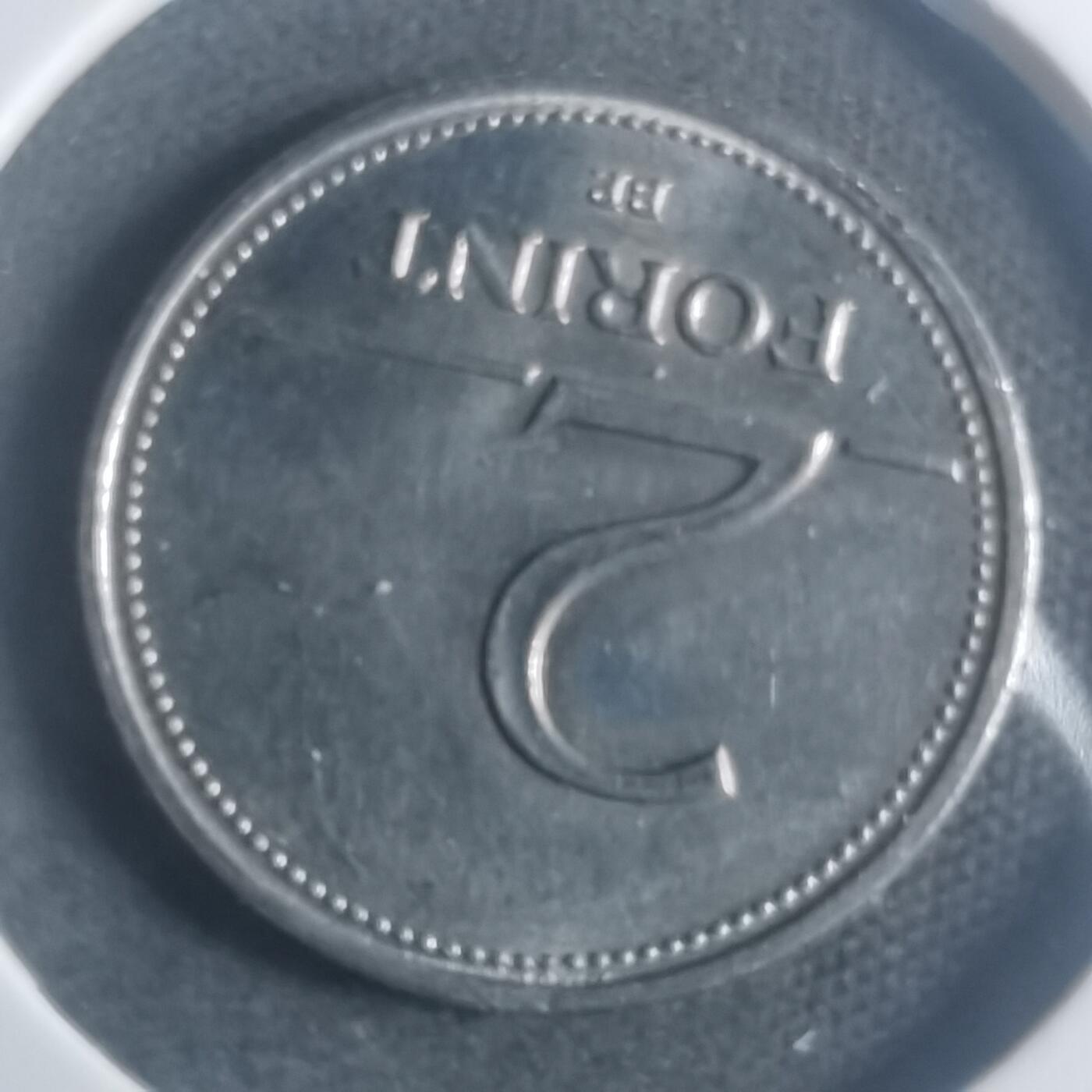 沼泽如烟--第900场