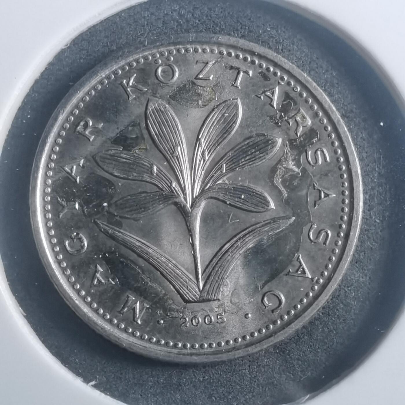 沼泽如烟--第903场