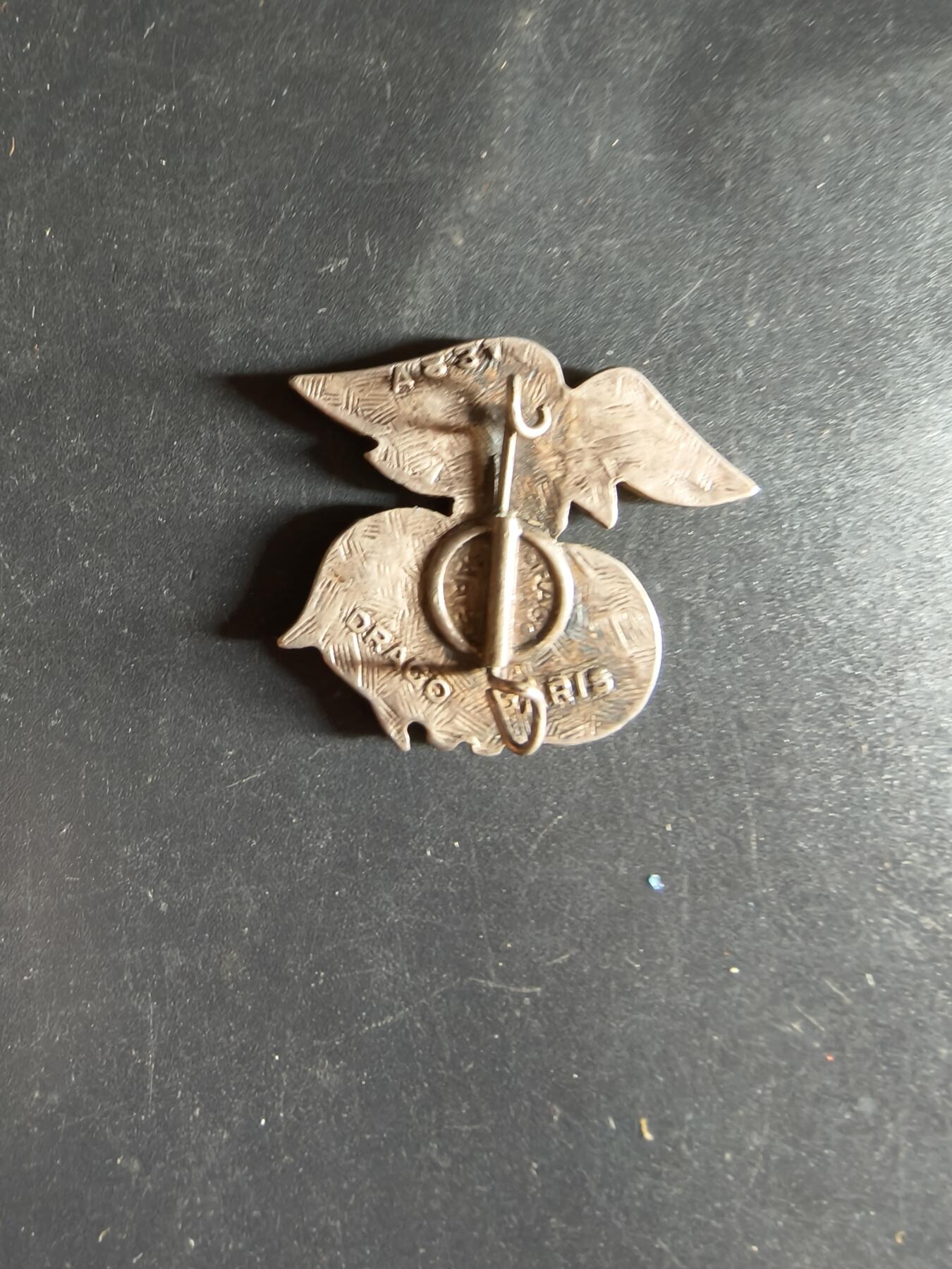 老王徽章第163期 13-15日三场连拍 16日统一发货  13、14日结束后可寄存 法国空军701航空学校证章 