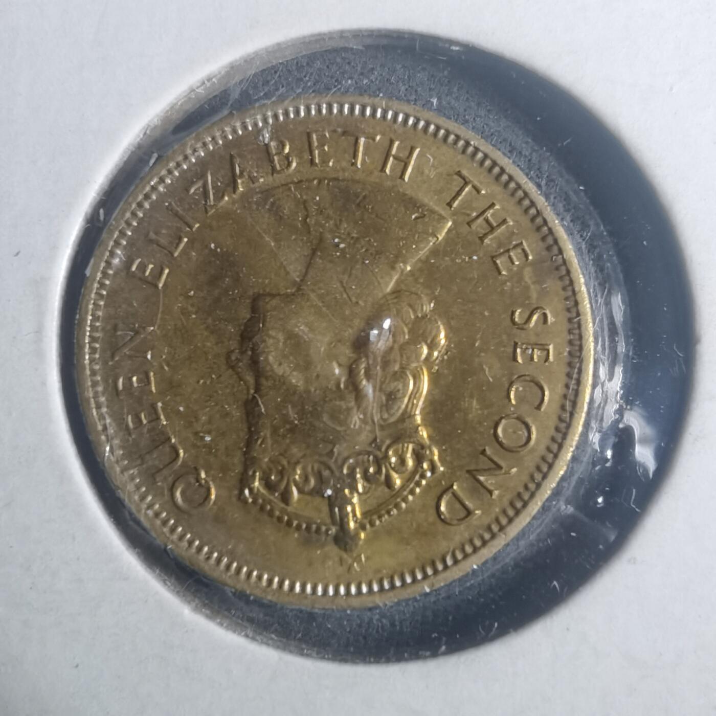 沼泽如烟--第900场