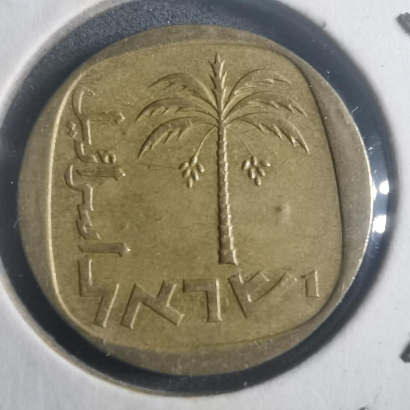 沼泽如烟--第903场 以色列