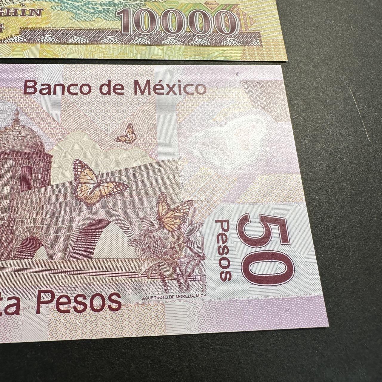 蒂克钱币-第47场 外国平价纸币拍卖 越南墨西哥塑料钞2枚 