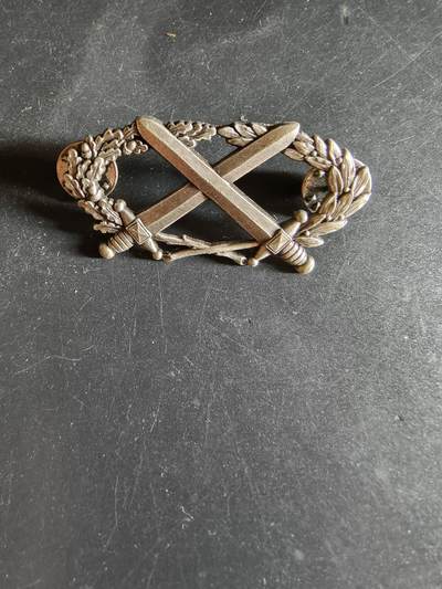 老王徽章第163期 13-15日三场连拍 16日统一发货  13、14日结束后可寄存 - 法国银级军事技能章 