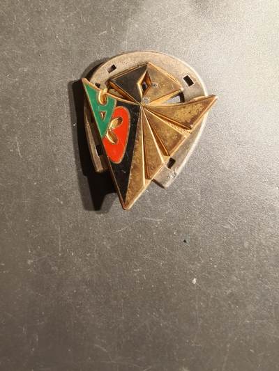 老王徽章第163期 13-15日三场连拍 16日统一发货  13、14日结束后可寄存 - 法国外籍军团第2步兵团2营证章 