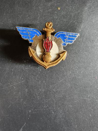 老王徽章第163期 13-15日三场连拍 16日统一发货  13、14日结束后可寄存 - 法国海军航空兵证章 