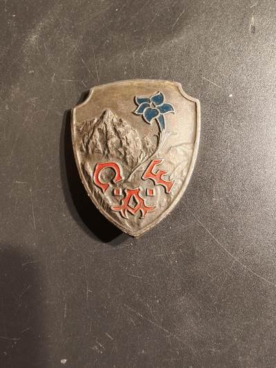 老王徽章第163期 13-15日三场连拍 16日统一发货  13、14日结束后可寄存 -  法国山地学校证章