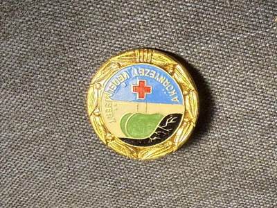 罗岚⭐爱藏⭐精品专拍第七场-分享拍场赚佣（周六有群拍，详细看简介） - 匈牙利人民共和国环境保卫健康证章