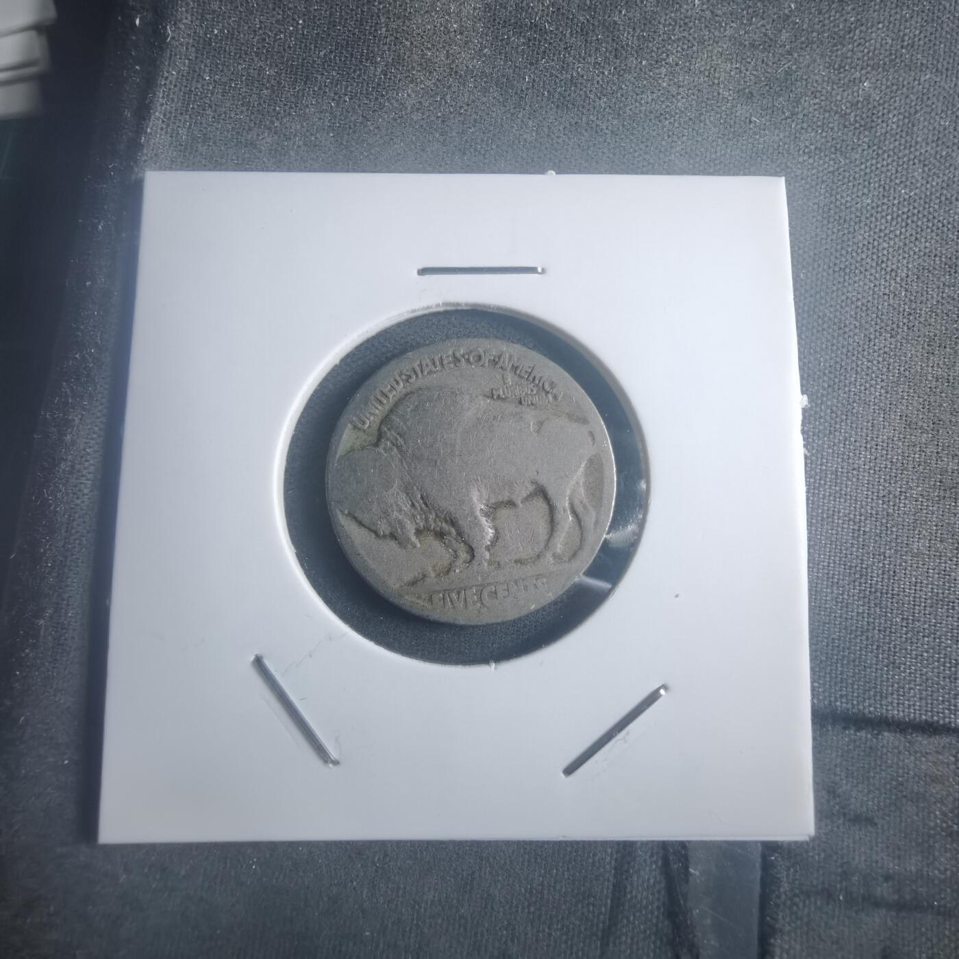 沼泽如烟--第903场 美国野牛五分