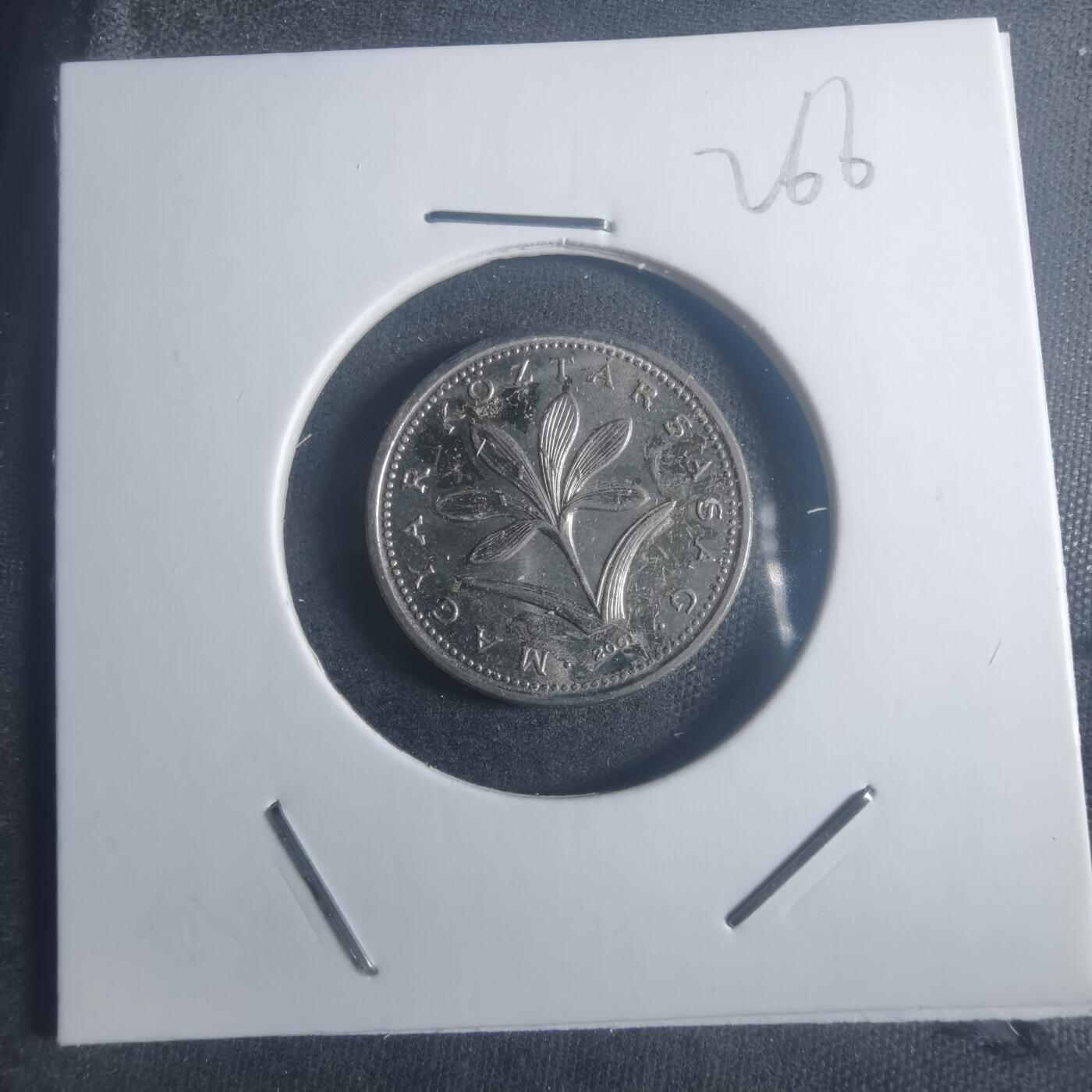 沼泽如烟--第900场