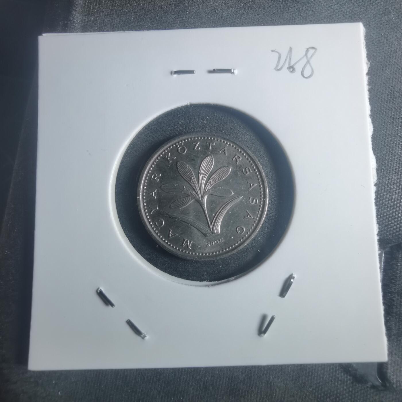 沼泽如烟--第900场