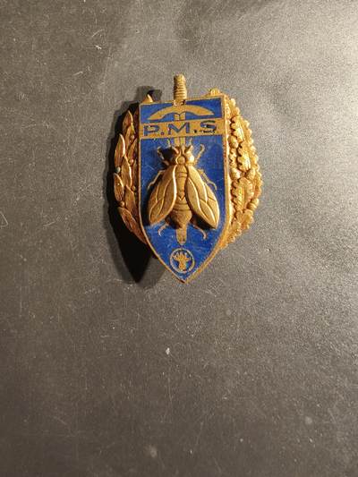 老王徽章第163期 13-15日三场连拍 16日统一发货  13、14日结束后可寄存 - 法国高级军事预备役证章 