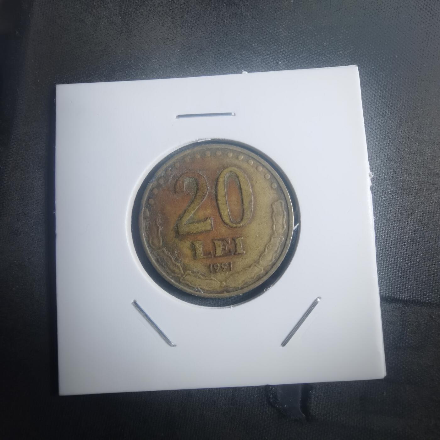 沼泽如烟--第903场