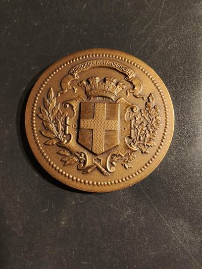 老王徽章第163期 13-15日三场连拍 16日统一发货  13、14日结束后可寄存 - 法国土伦市大铜章     直径50mm.   重量47.1g