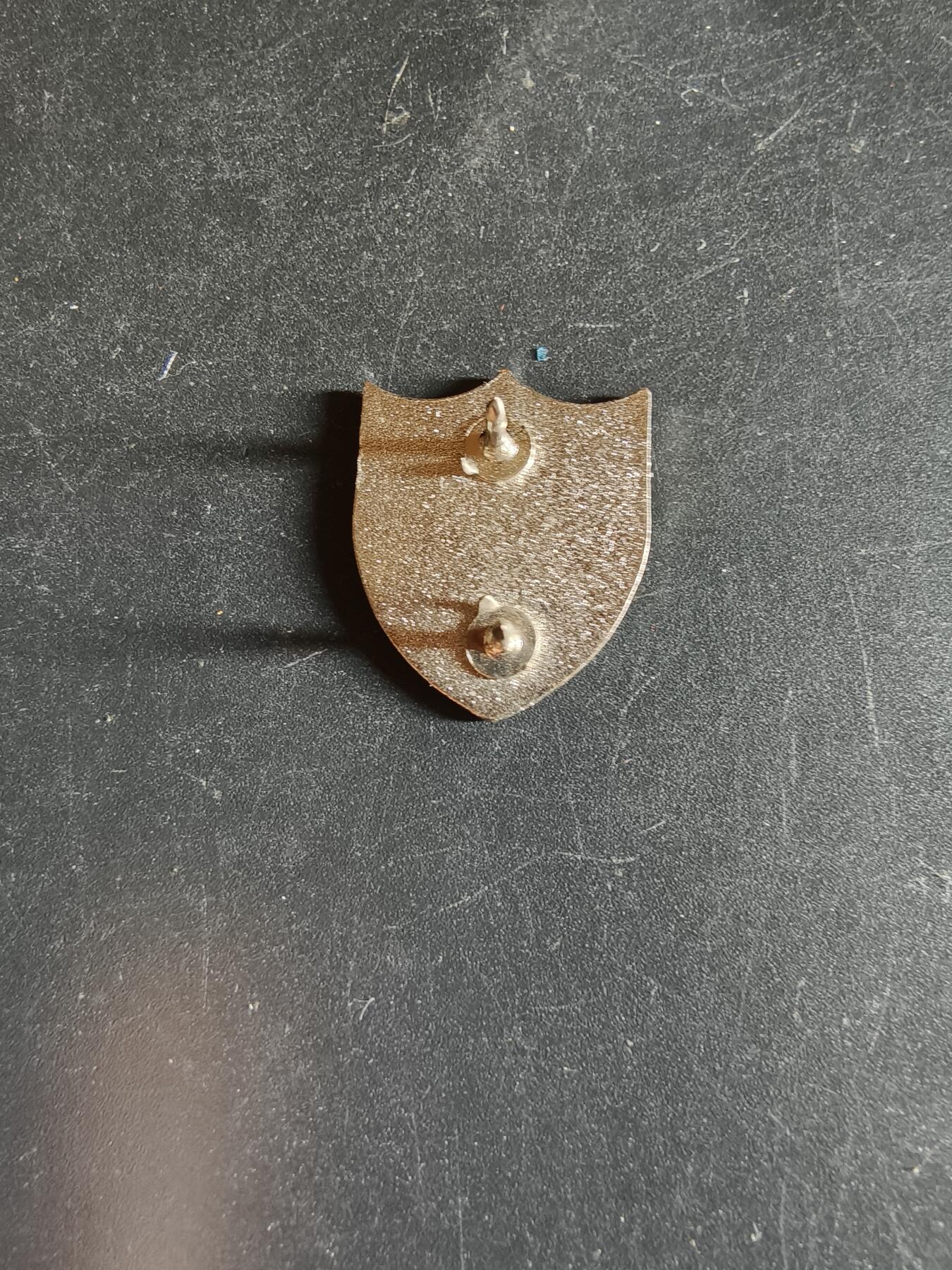 老王徽章第163期 13-15日三场连拍 16日统一发货  13、14日结束后可寄存