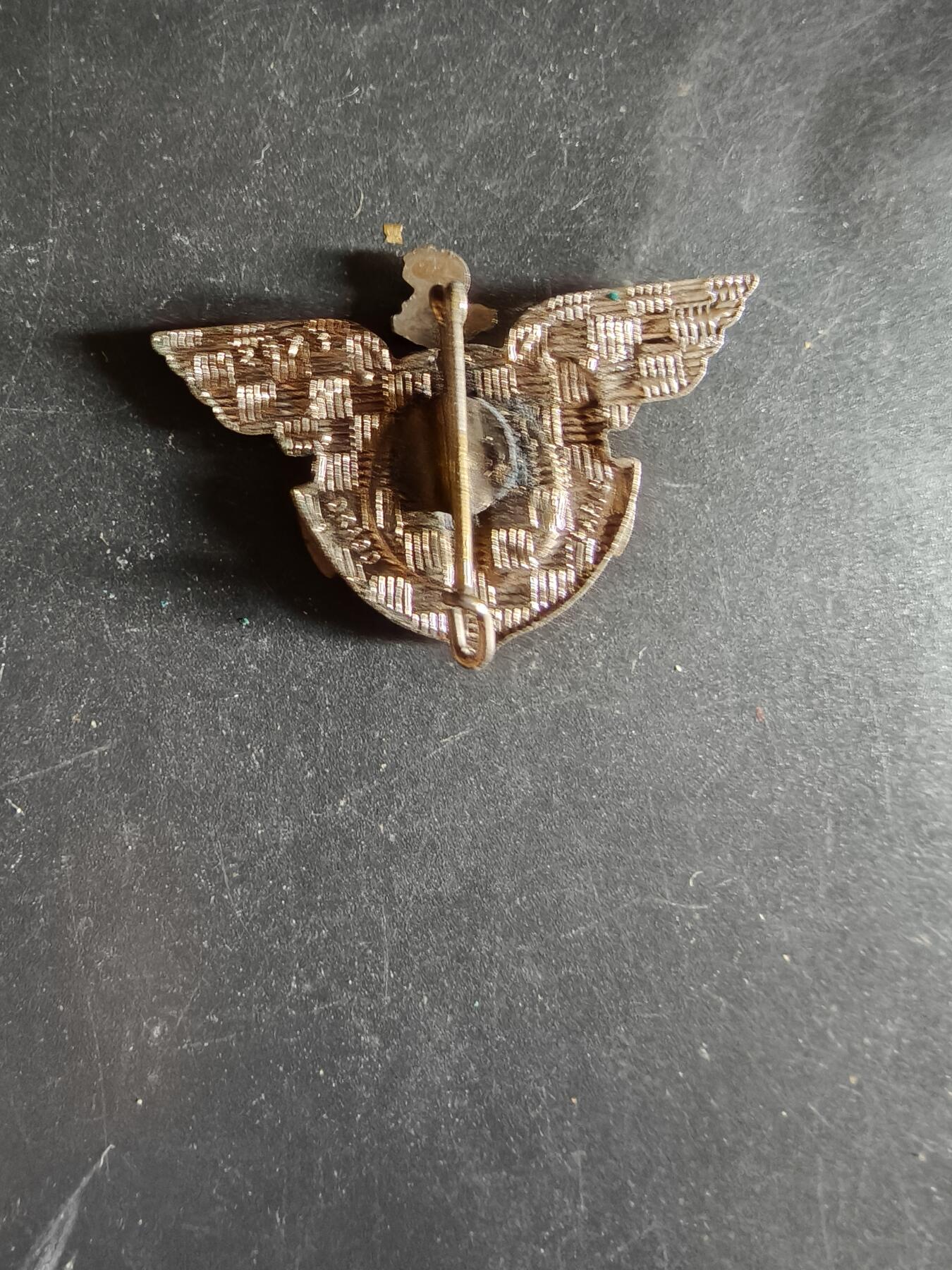 老王徽章第163期 13-15日三场连拍 16日统一发货  13、14日结束后可寄存 法国海军航空兵证章 