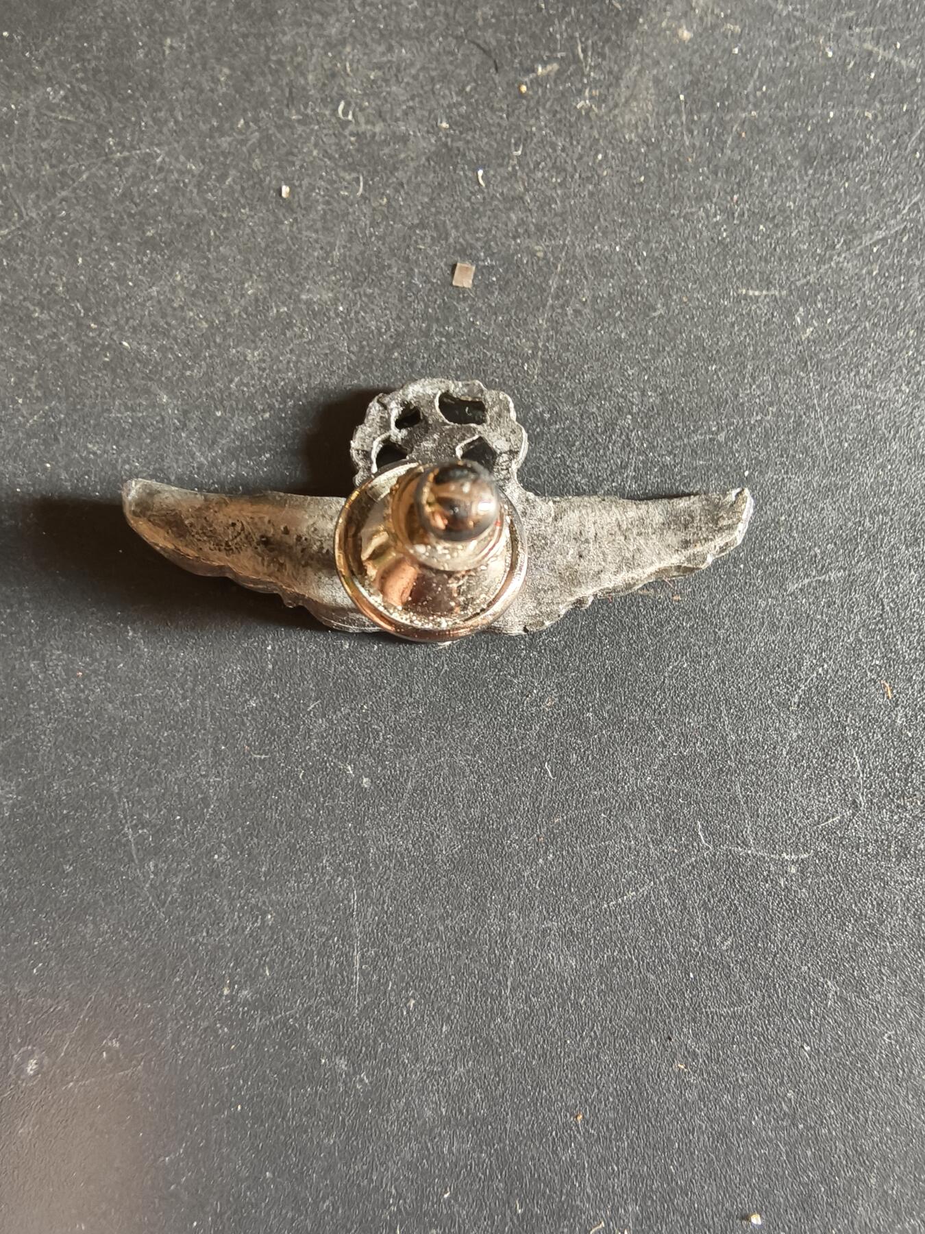 老王徽章第163期 13-15日三场连拍 16日统一发货  13、14日结束后可寄存 美国空军飞行员高级技能章    1.5英寸 