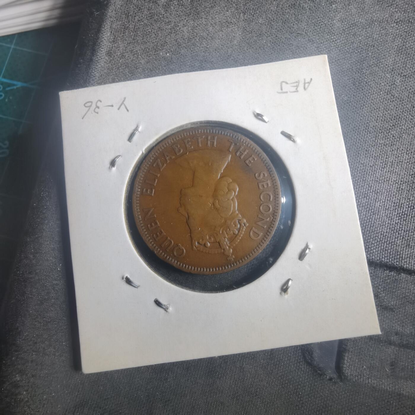 沼泽如烟--第903场