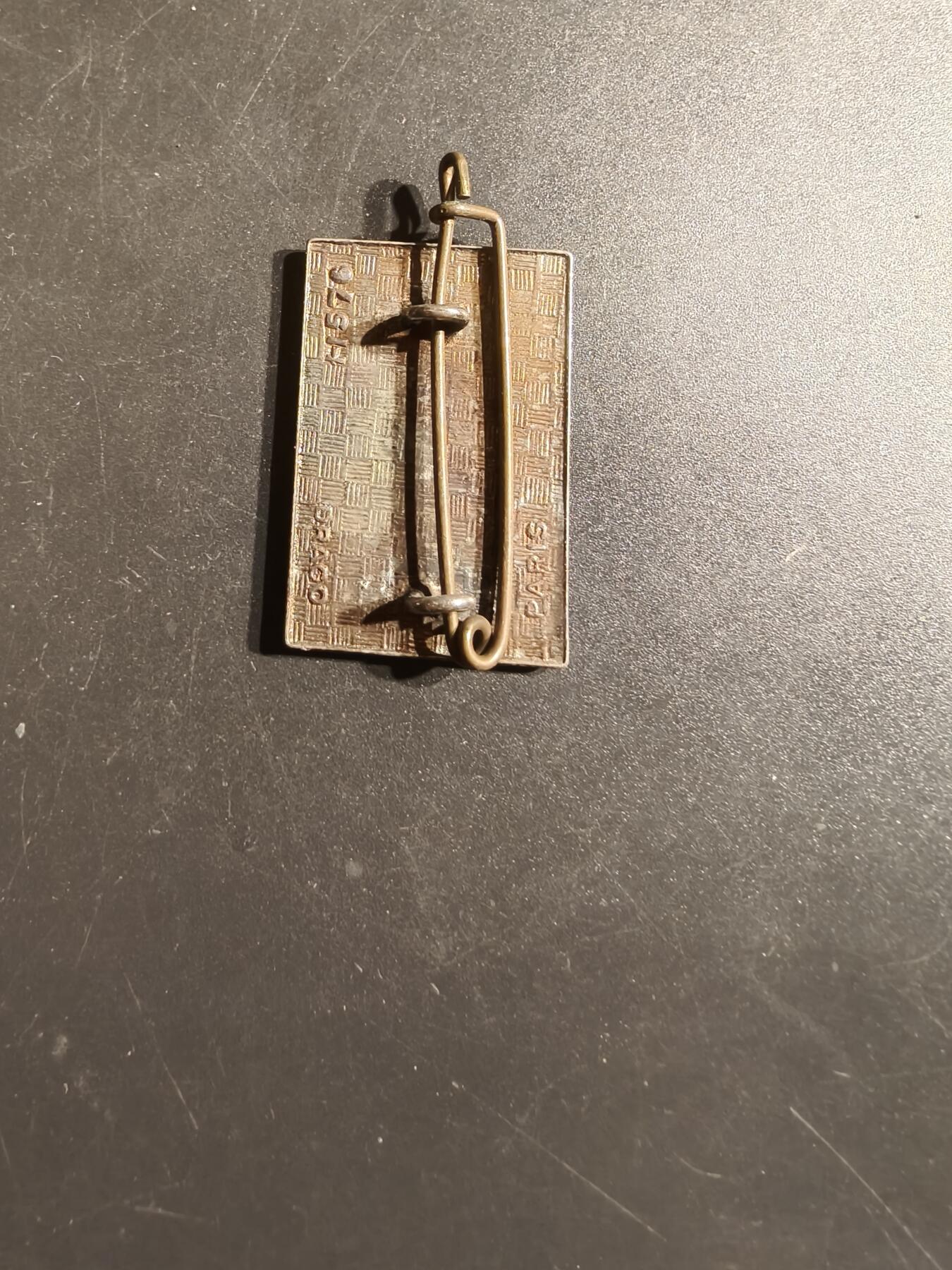 老王徽章第163期 13-15日三场连拍 16日统一发货  13、14日结束后可寄存  法国第38通信团证章