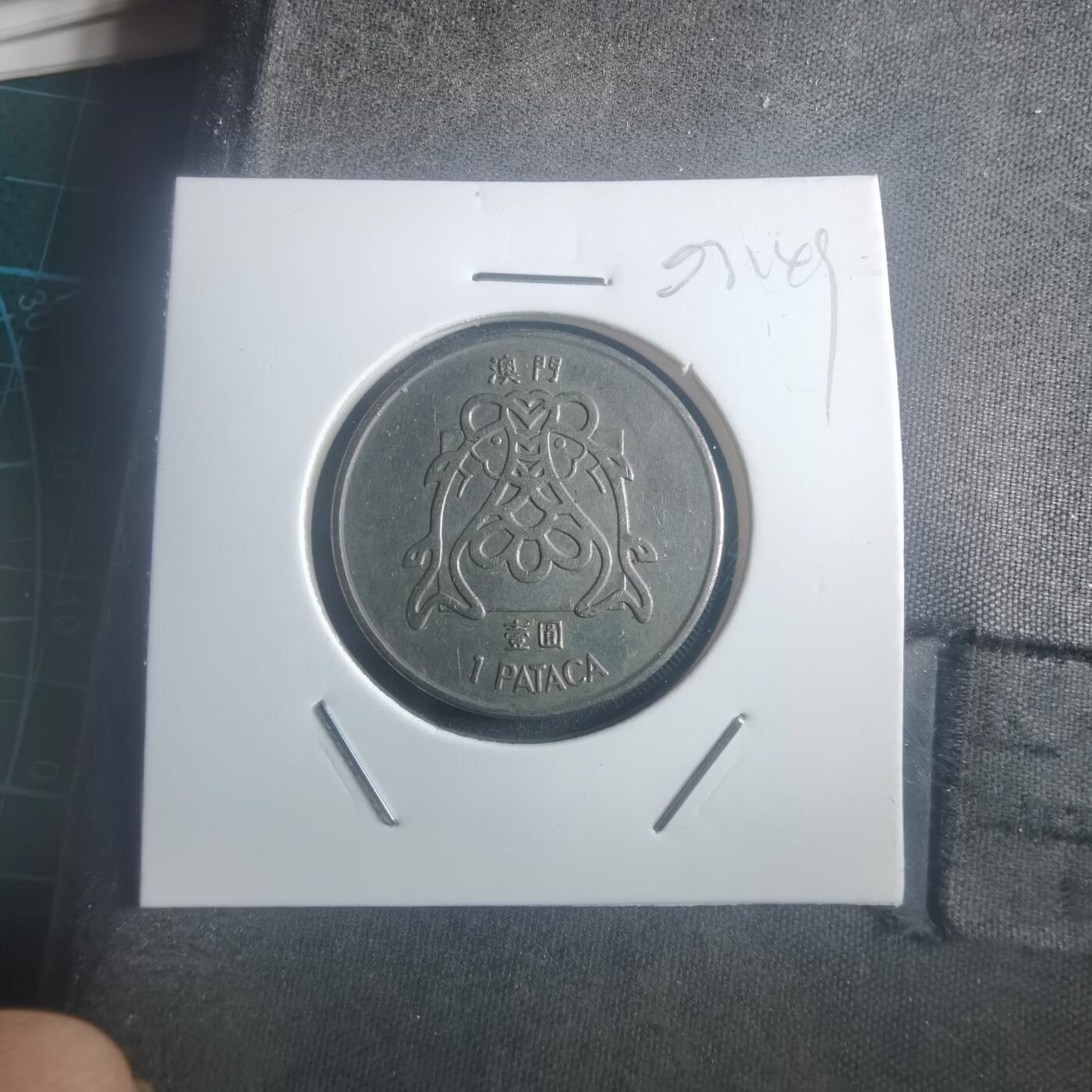 沼泽如烟--第903场