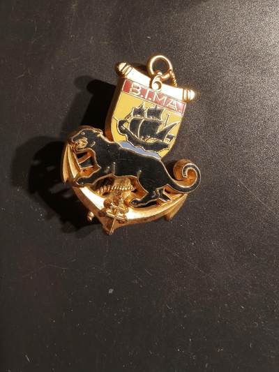 老王徽章第163期 13-15日三场连拍 16日统一发货  13、14日结束后可寄存 -  法国海军陆战队第6步兵营证章