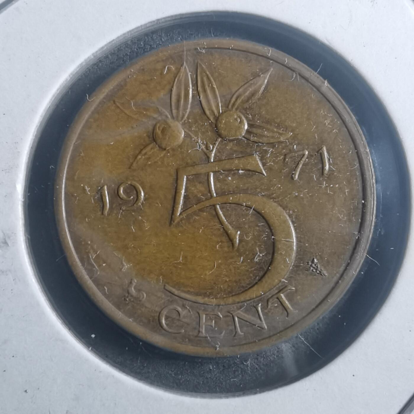 沼泽如烟--第903场