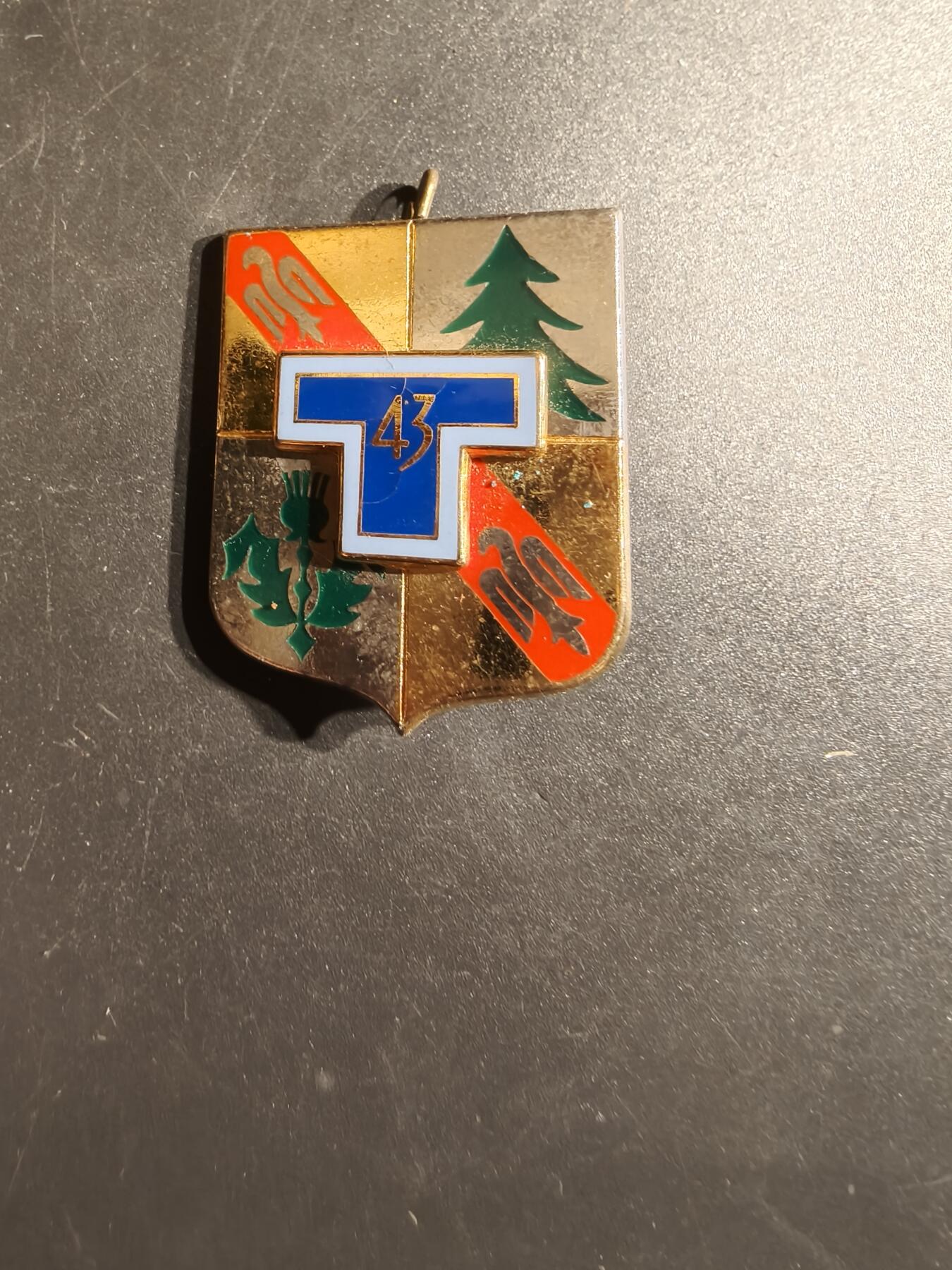 老王徽章第163期 13-15日三场连拍 16日统一发货  13、14日结束后可寄存 法国第43通信团证章 